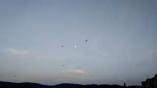 Rorýsi nad jabloneckou přehradou