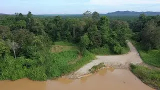 How to Plant a Forest