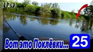 Красивые поклевки голавля на спиннинг! ГОЛАВЛИ Клюют резко и дерзко!
