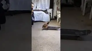 bro doesn't know what he just did (not mine)