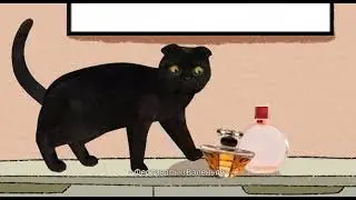 Московские сезоны | Кот Бублик