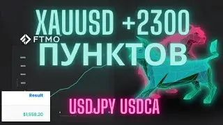 Лучшие трейды февраля на форекс XAUUSD USDJPY USDCAD