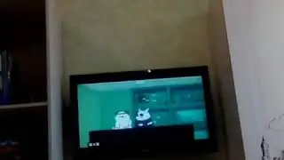 Бои без правил