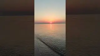 Рассветы на Косе ✌️🤩💕 Чайки, море и, как же без них, медузы на берегу 🤣