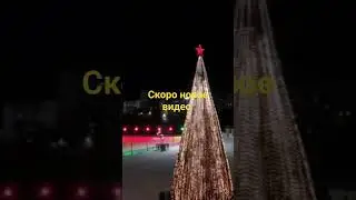 21 декабря 2023 г.