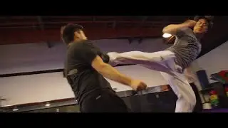 Project A - Final Fight Previs