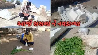 આજે સસલાં ને નવડાવ્યા// ઠંડી ચળી ગઈ સસલાં ને 🥹 #vlog #dailyvlog