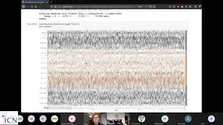 Tutorial practical LFP recording import and rereferencing 3 (Jupyter Notebook) - Timon Merk