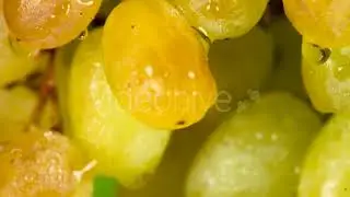 Lab Testing Equipment 687 - (science) Stock Footage | Mega Pack +40 items