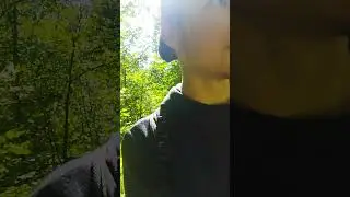нет грибов