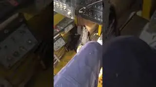 птица врезалась в самолет, жалко птичку