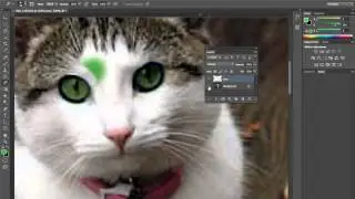 Adding and Changing a Color in Photoshop CS6