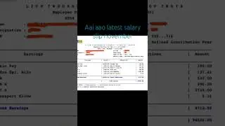 lic aao november month salary slip 2023 