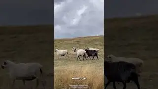 Наши дети не ходят в школу 