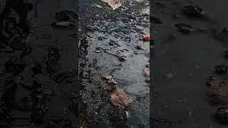 удалю завтра если не залетит 