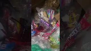 What’s inside a Toronto dumpster