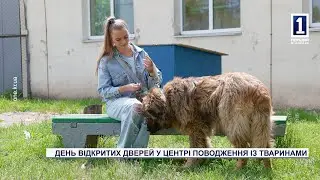День відкритих дверей у Центрі поводження із тваринами