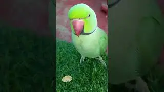 😘😘😘😘😘