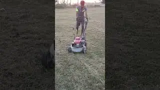Grass Cutting Machine in Action