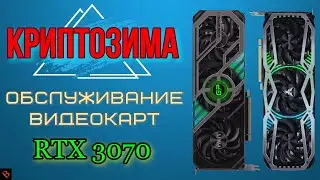 ОБСЛУЖИВАНИЕ 3070 \ майнинг