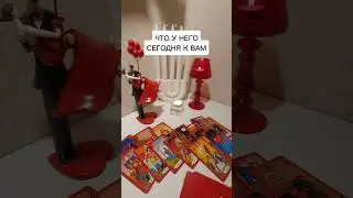 ЧТО У НЕГО СЕГОДНЯ К ВАМ?