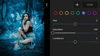 Lightroom Dark Blue Tone Photo Editing | Lightroom Background Colour Change