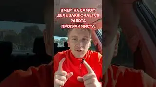 В чем на самом деле заключается работа программиста? 🤷‍♂️ #работавайти #айтишник #shorts
