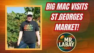 LABAY MARKET FOUNDER VISITS ST.GEORGES MARKET IN GRENADA!