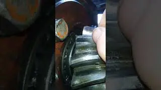 хвостовик и планетарка