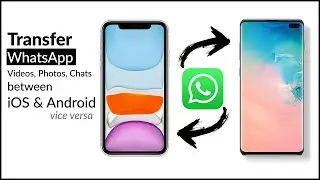 How to Transfer WhatsApp data from iPhone to Android ( VICE VERSA )