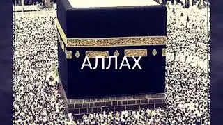 Бехтарин клип мехона гиряд миёяа
