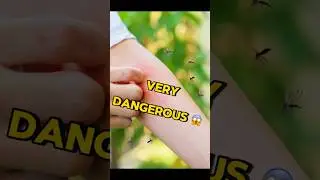 Dengue virus #shorts #dengue