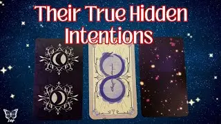 🔮Their True HIDDEN Intentions With You REVEALED | PICK-A-CARD 