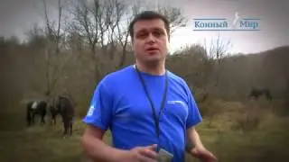 Конный поход. Кавказ. (промо2)