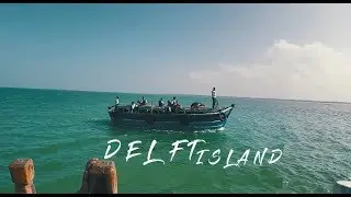 Delft Island 2017