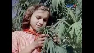 ЮНОСТЬ ЗЛОДЕЕВ Сделай Меня Лишним
