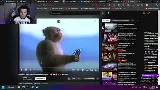 МАЗЕЛЛОВ ПОКАЗАЛ СВОЙ ЛЮБИМЫЙ ТРЕК (ДЕВОЧКА УЭНСДЕЙ)