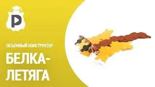 Белка-летяга из объемного конструктора