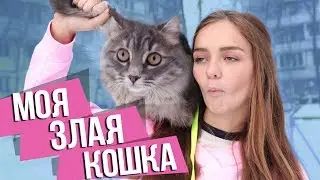 ОНА МЕНЯ НЕ ЛЮБИТ / ГУЛЯЮ С КОШКОЙ