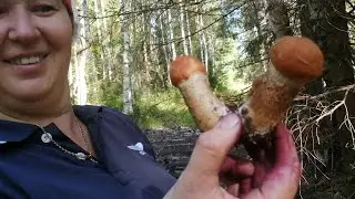 БЛАГОДАТНАЯ ГРИБАЛОЧКА