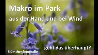 Blümchenfotografie im Park