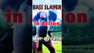 Woman Angler Conquers Massive Bass | Jaw-Dropping Catch! 🎣