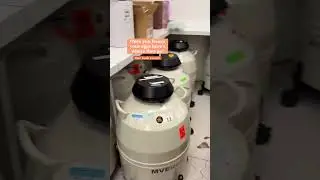 What Happens After We Freeze Your Eggs? 