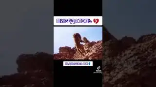 ШОК НЕ ДЕЛАЙТЕ ТАК В ИГРЕ PUBG MOBILE | Приколы Тик Ток |Tik Tok 
