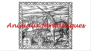 Animaux fantastiques - Une promenade au Louvre-Lens