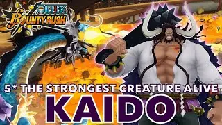 5* EX KAIDO🐉 SS League Gameplay 2 | One Piece Bounty Rush