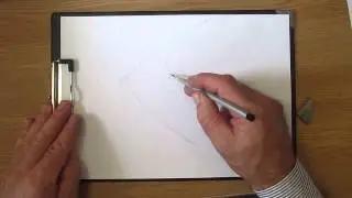 Как рисовать птицу ласточку. Часть 1. Урок 38