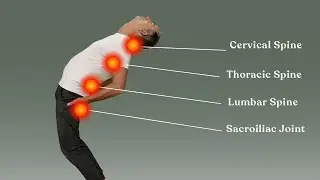 Release back blockage – ENTIRE spine!