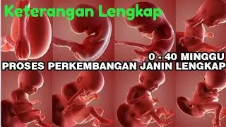 PERKEMBANGAN JANIN DALAM KANDUNGAN LENGKAP 1 - 40 MINGGU