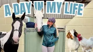 A Day In My Life On The Farm